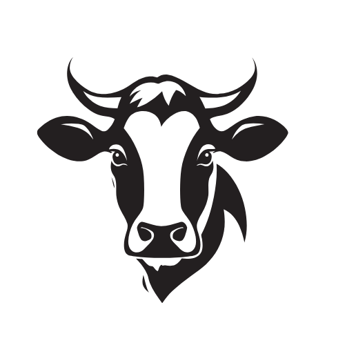 Beef